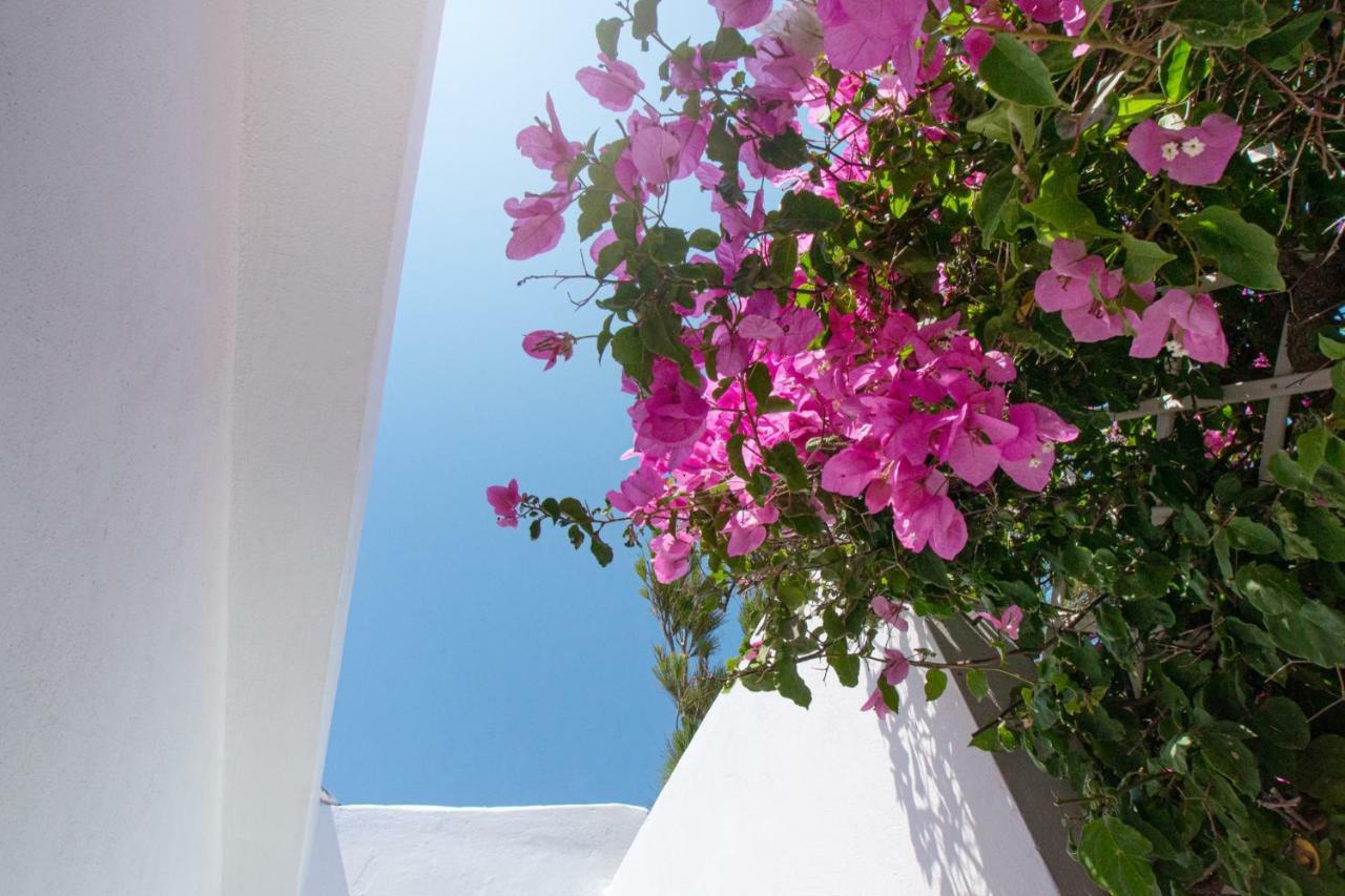 Villa Aiolos Palekastro Exterior foto